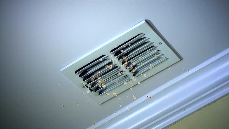 Best Affordable Air Duct Cleaning  in Magalia, CA